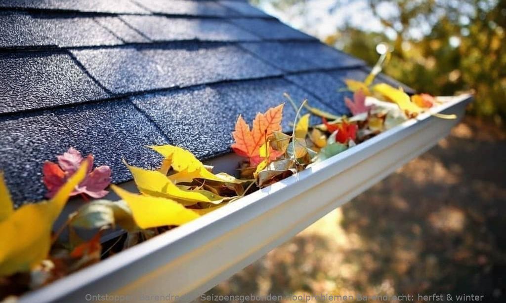 Seizoensgebonden rioolproblemen Barendrecht: herfst & winter